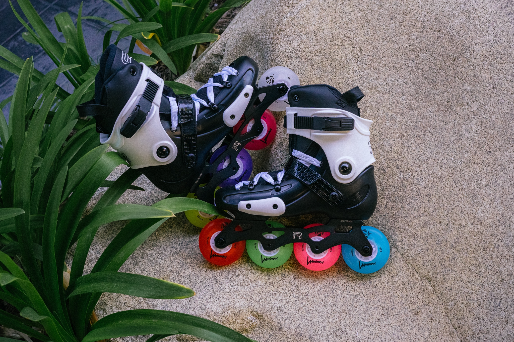 KOŁA LUMINOUS BLUE 72MM / 85A X1