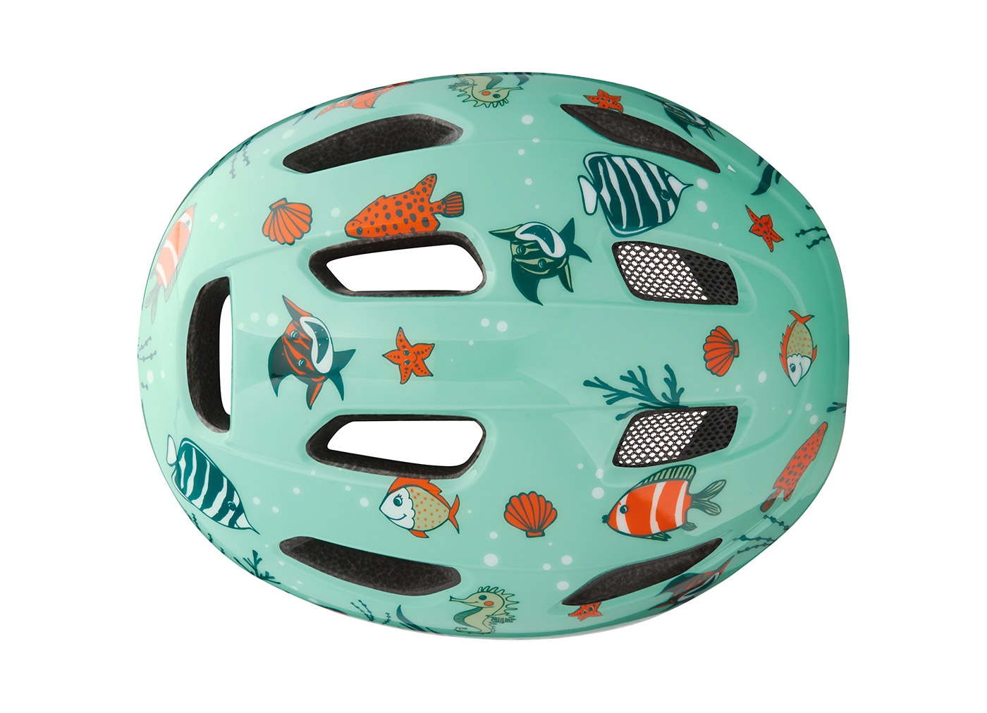 KASK LAZER PNUT KINETICORE SEALIFE