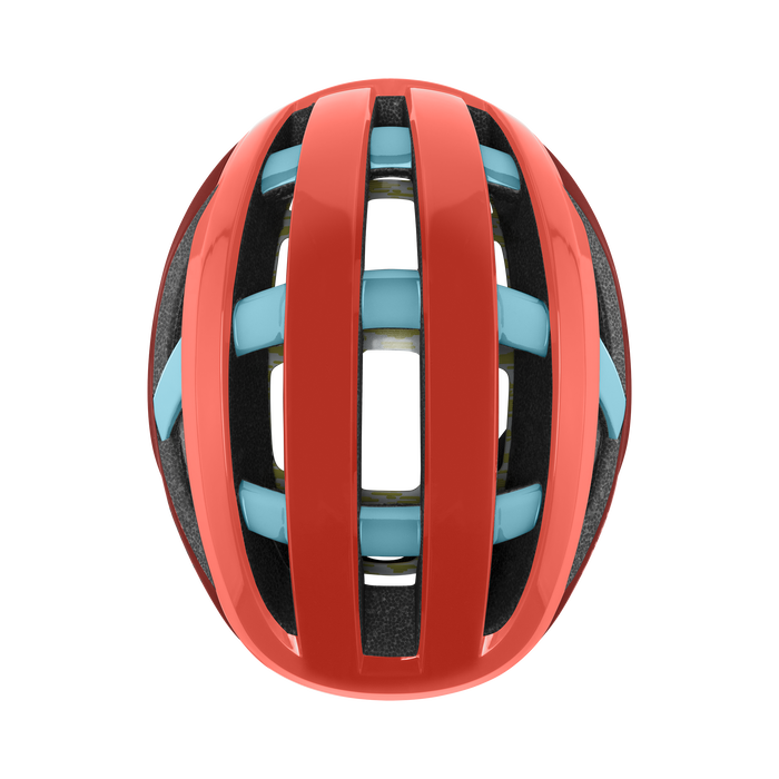 KASK SMITH NETWORK MIPS POPPY TERRA STORM